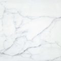 Carrara white marble